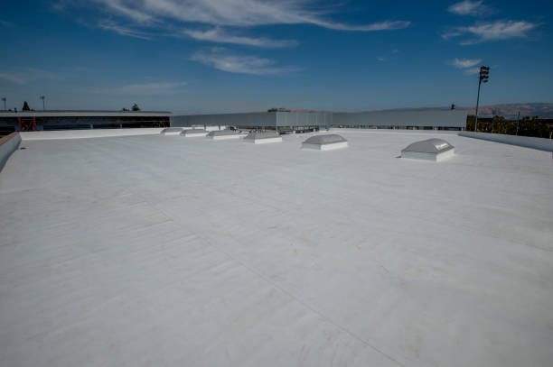 Best Sheet Metal Roofing  in Bladenboro, NC