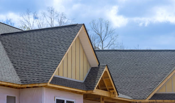 Best Roof Insulation Installation  in Bladenboro, NC